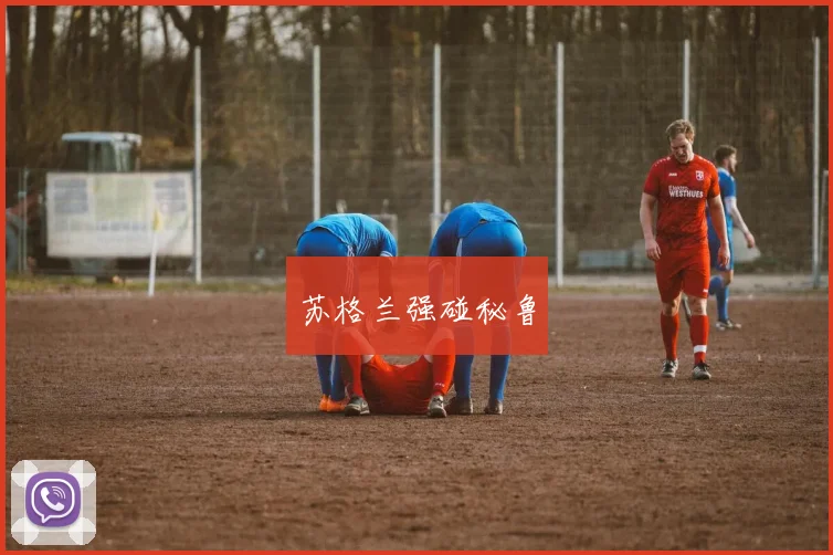 苏格兰强碰秘鲁