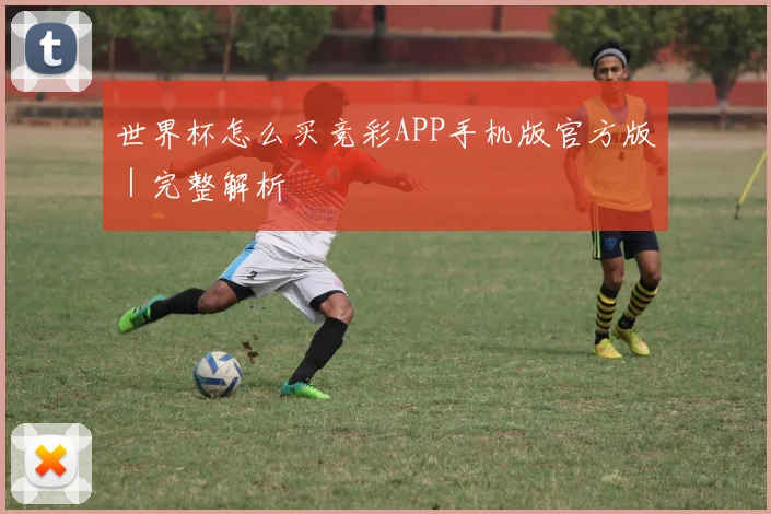 世界杯怎么买竞彩APP手机版官方版｜完整解析