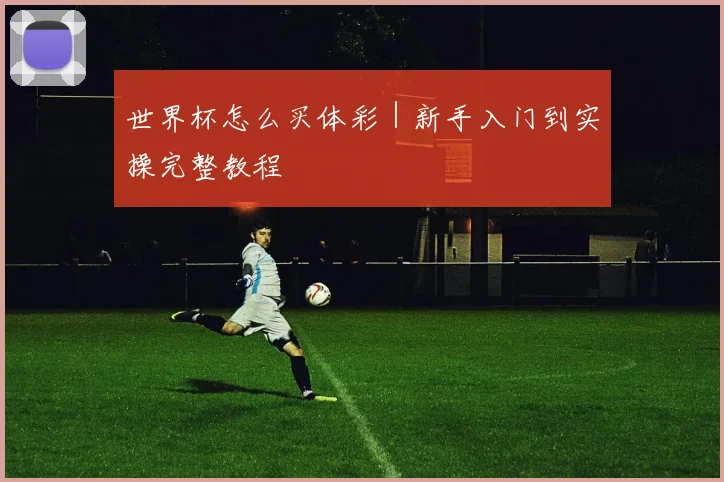 世界杯怎么买体彩｜新手入门到实操完整教程