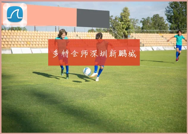 多特会师深圳新鹏城